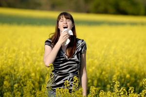 Pollen machen Allergikern schwer zu schaffen